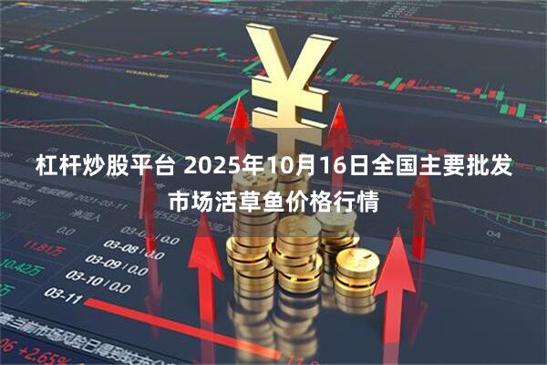 杠杆炒股平台 2025年10月16日全国主要批发市场活草鱼价格行情