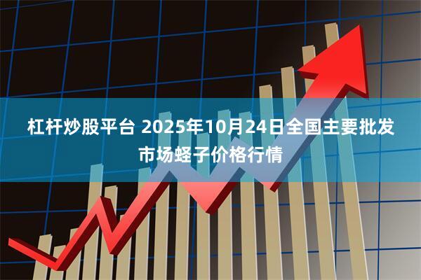 杠杆炒股平台 2025年10月24日全国主要批发市场蛏子价格行情