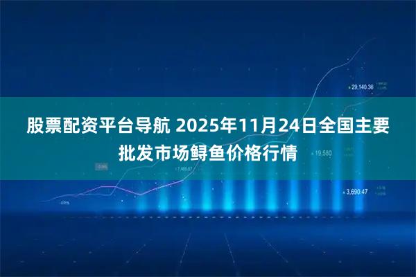 股票配资平台导航 2025年11月24日全国主要批发市场鲟鱼价格行情