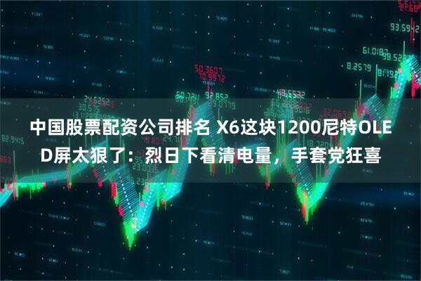 中国股票配资公司排名 X6这块1200尼特OLED屏太狠了：烈日下看清电量，手套党狂喜
